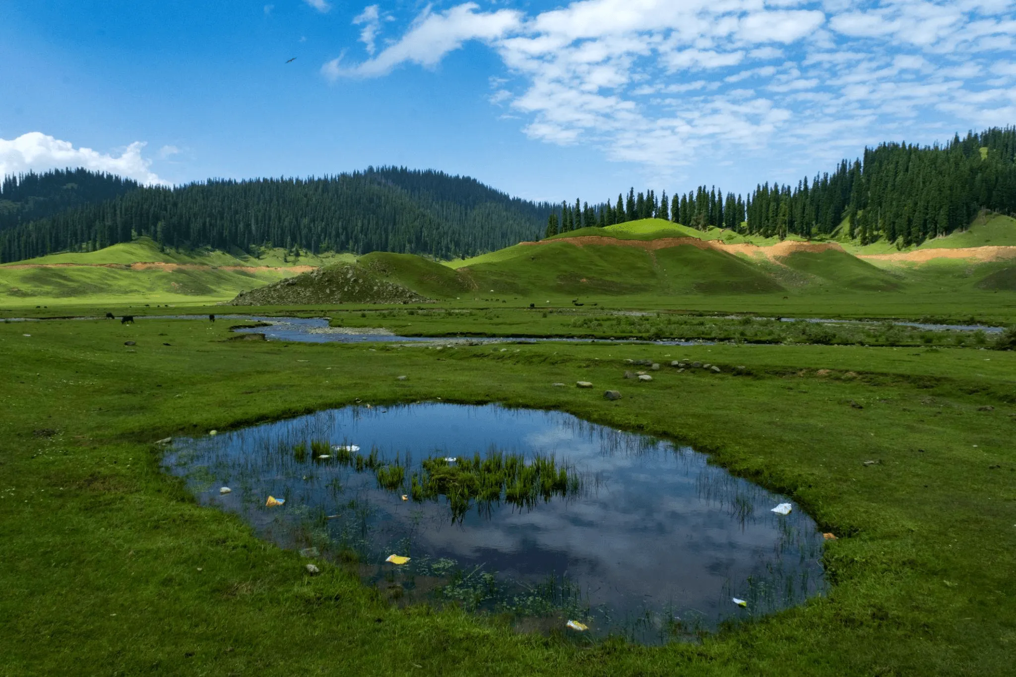 Scenic Kashmir meadow landscape for FAQ page